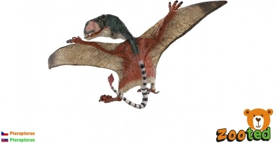 Modèle de ptérosaure volant