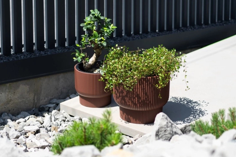 Insert pratique pour une plantation rapide