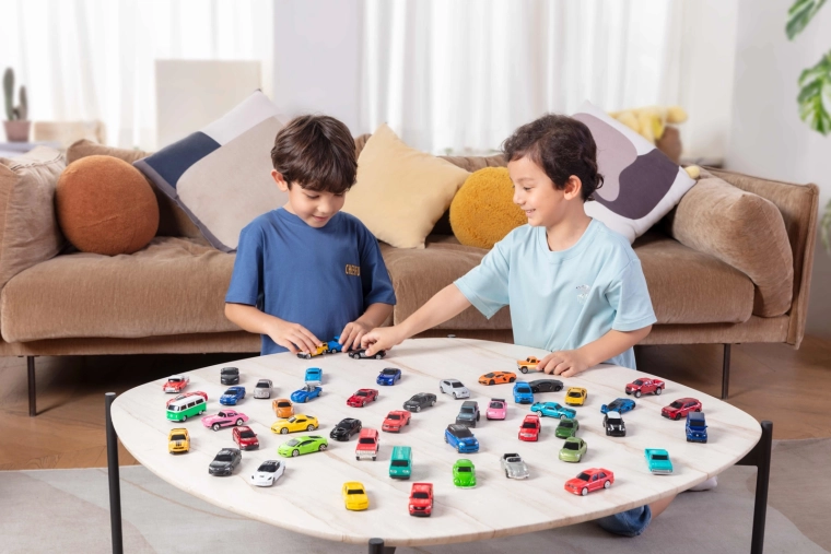 Différentes variantes en assortiment – vendu à l’unité