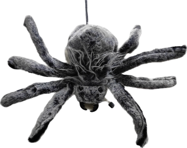 Araignée poilue comme décoration de fête