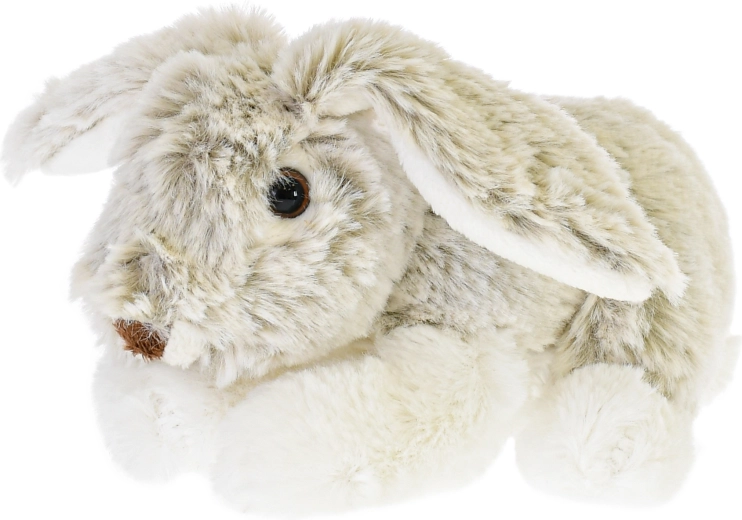 Détails adorables et longues oreilles