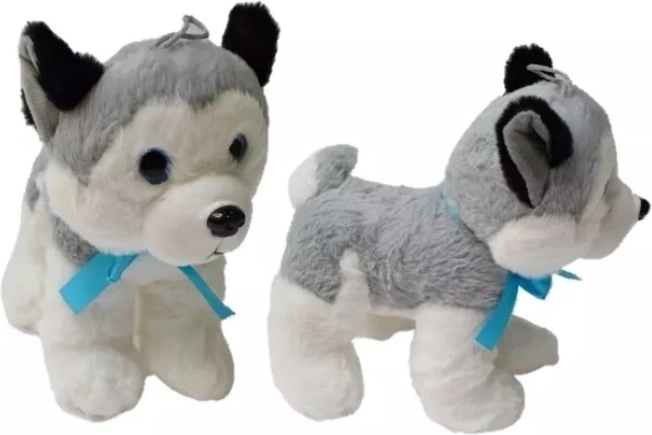 Husky en peluche moyen 20 cm