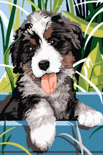 Norimpex Peinture par numéros chien souriant 40 × 50 cm