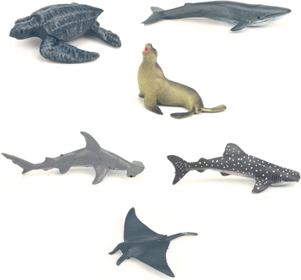 Coffret d’animaux marins en boîte, 6 pièces