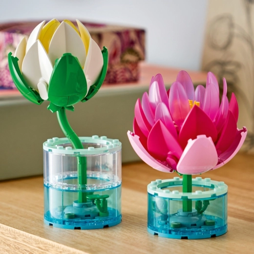 Vases réalistes avec effet d’eau