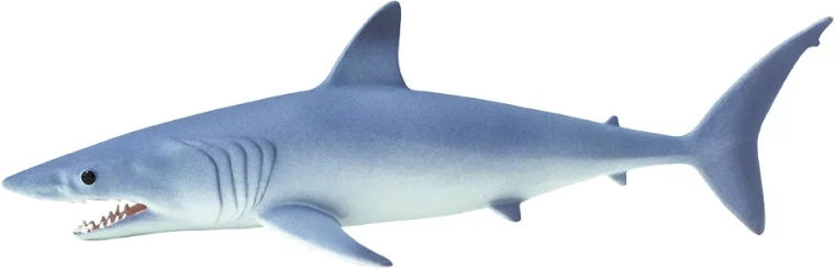 Détails réalistes du requin mako