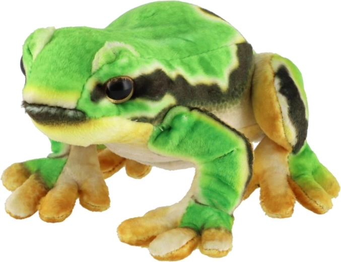 Apparence réaliste et adorable