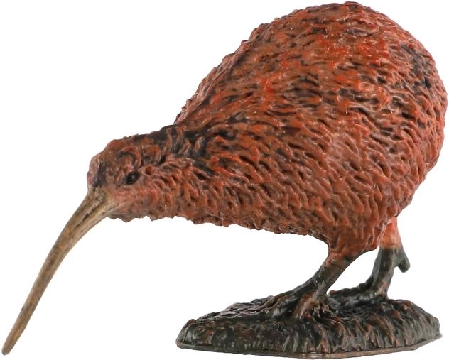 Représentation fidèle du kiwi