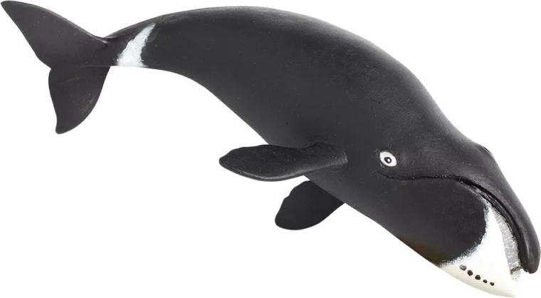 Safari Ltd. figurine de baleine boréale