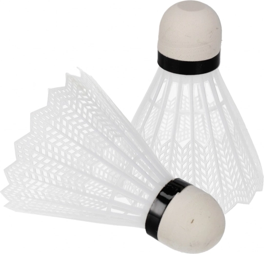 Set de badminton complet pour jouer immédiatement