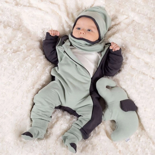 Accordé à la collection OLAF