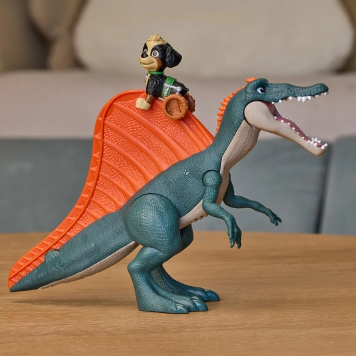 Rex glisse sur le dos