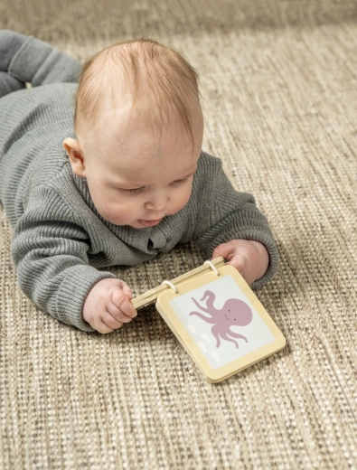 Premier livre pour petites mains