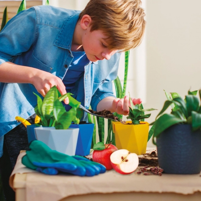 Jardinage ludique à la maison