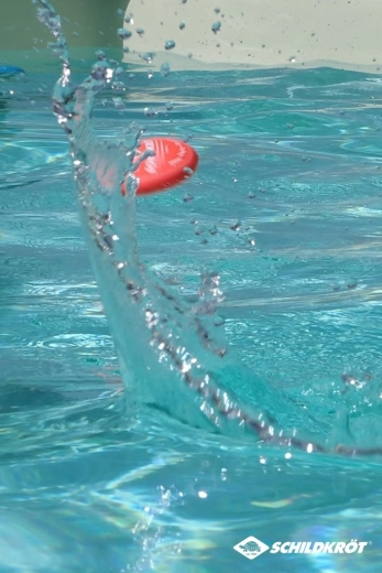 Schildkröt Ocean balles rebondissantes en néoprène pour l’eau (3 pcs)