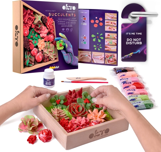 OKTO Passion kit créatif de modelage artistique de succulentes dans un cadre en bois 21 × 21 cm