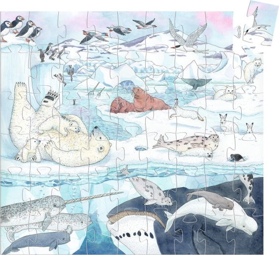 Superbe illustration du monde polaire