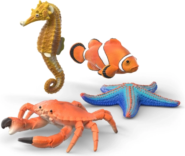 Schleich WILD LIFE set de découverte des animaux marins