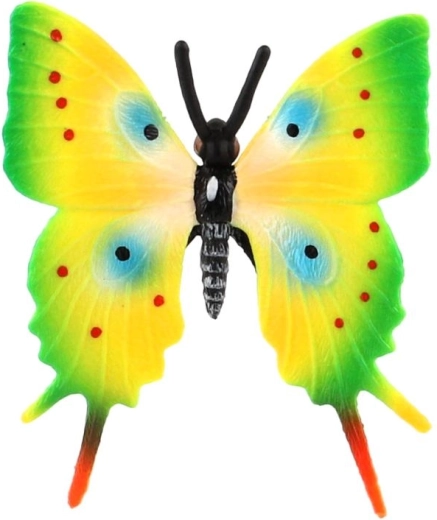 Ailes aux couleurs vives