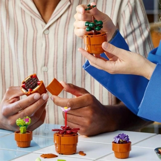 Construction à plusieurs et notice numérique