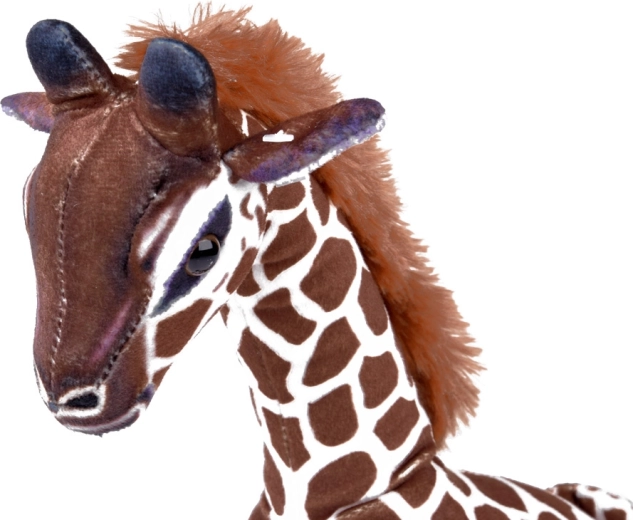 Détails sûrs et fabrication de qualité