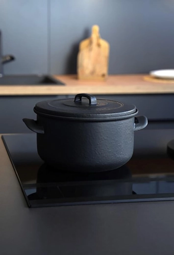 Universelle pour tous les types de plaques, y compris l’induction