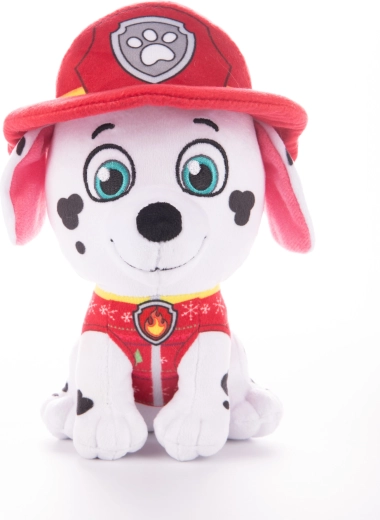 Détails authentiques de pompier