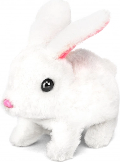 Lapin interactif avec effets
