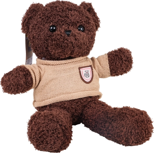 Ours en peluche marron avec pull