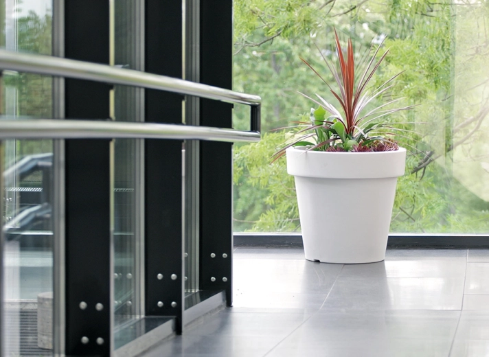 Grand volume pour une croissance saine des plantes