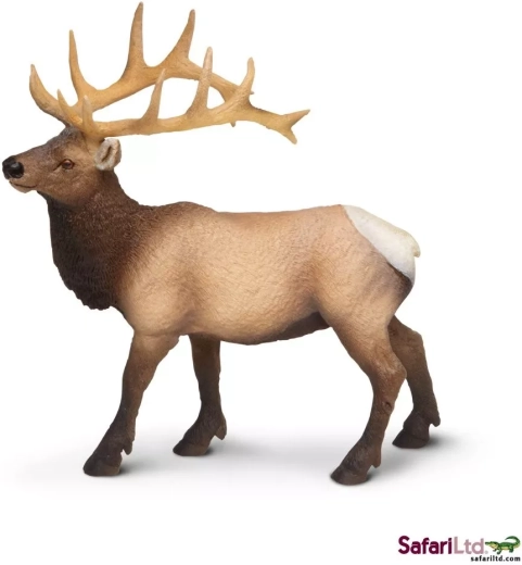 Safari Ltd. figurine de wapiti de Roosevelt
