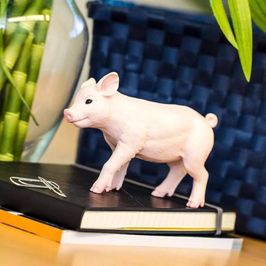 Marque Safari Ltd. – apprendre en jouant