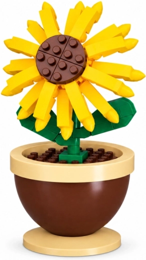 Tournesol remarquable en pot