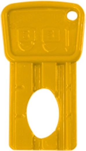 Clé de contact pour véhicule électrique pour enfants Ride-on Power Drag - 1 pièce