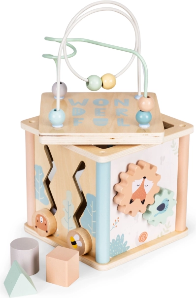 Cube éducatif en bois avec trieur ECOTOYS