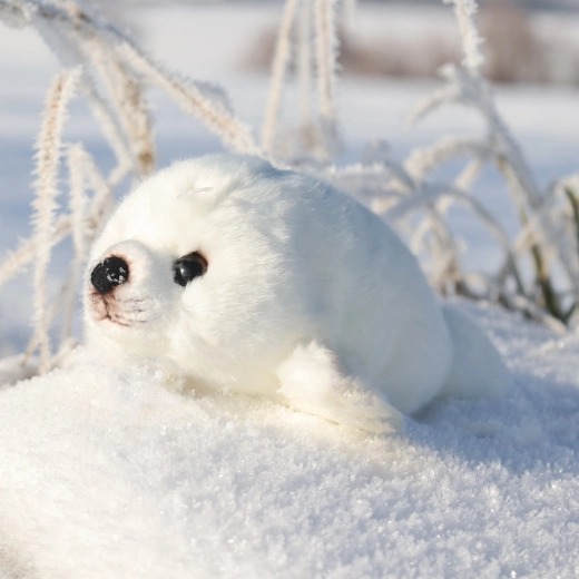 Inspiré d’un véritable animal