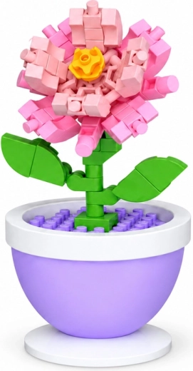 Œillet rose comme décoration