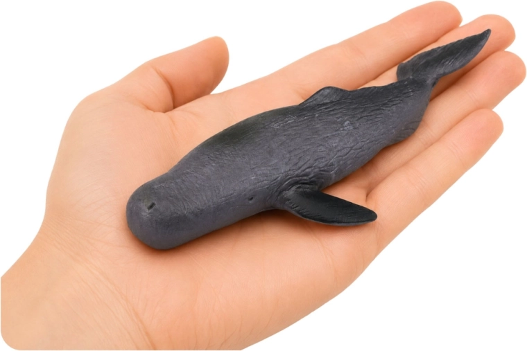 Caoutchouc thermoplastique (TPR) doux et souple