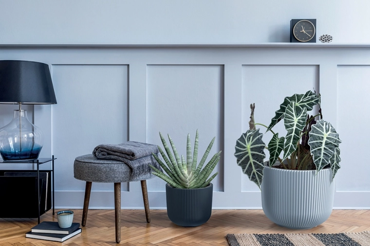 Design rainuré élégant pour chaque espace