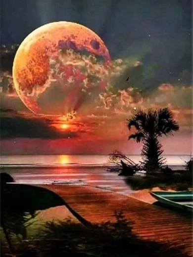 Norimpex peinture par numéros La Lune au-dessus du littoral 40 × 50 cm