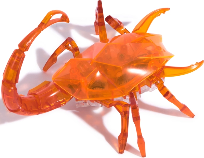 Design transparent et construction robuste