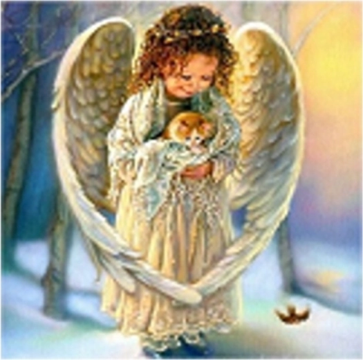 Norimpex Peinture par numéros Petit ange avec chat 40 × 50 cm