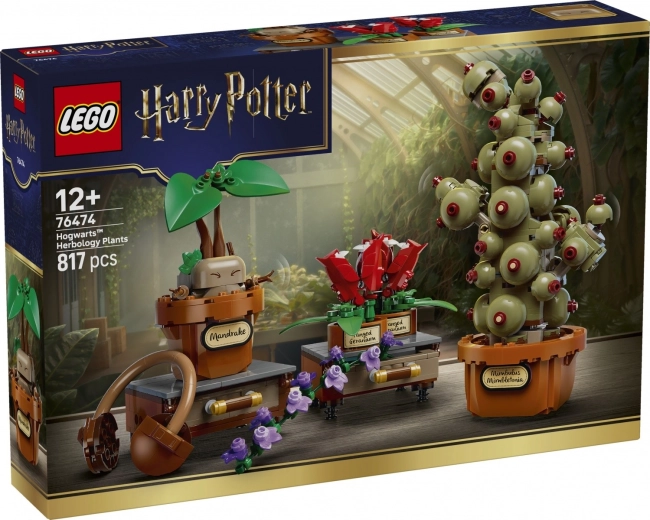 LEGO Harry Potter Plantes du cours d’herbologie à Poudlard