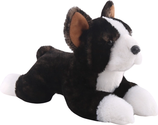 Boston Terrier en peluche 25 cm