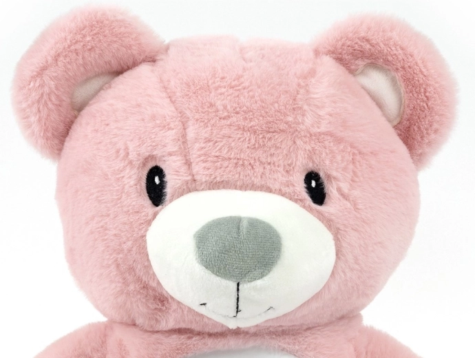 Projecteur amovible et minuterie