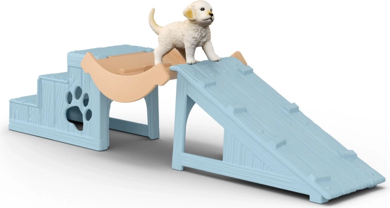 Parcours d’agility pour un amusement infini