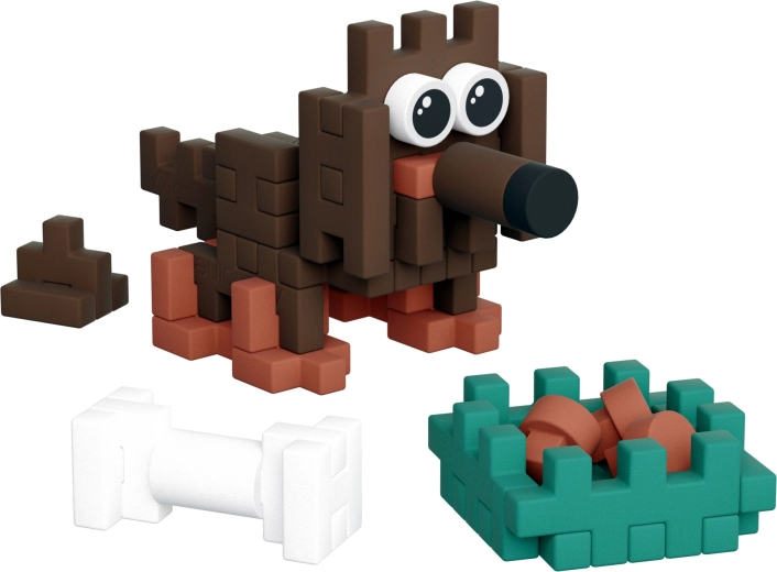 Adorable teckel et super accessoires