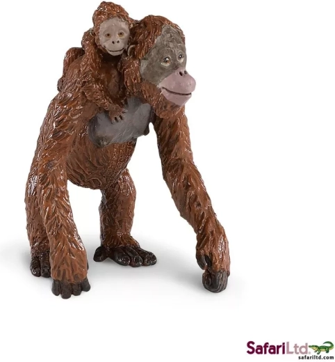 Orang-outan avec son petit