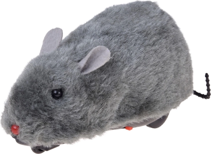 Aspect doux de la petite souris