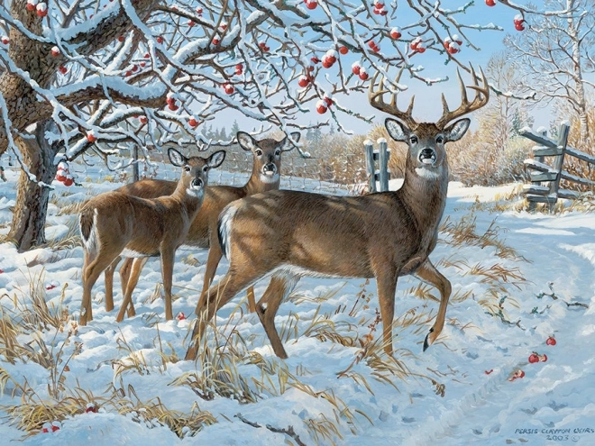 Puzzle Cerfs en hiver 500 pièces